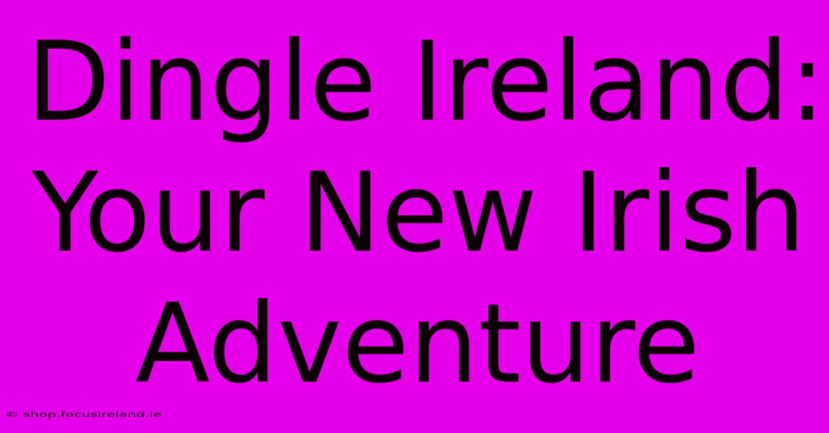 Dingle Ireland: Your New Irish Adventure