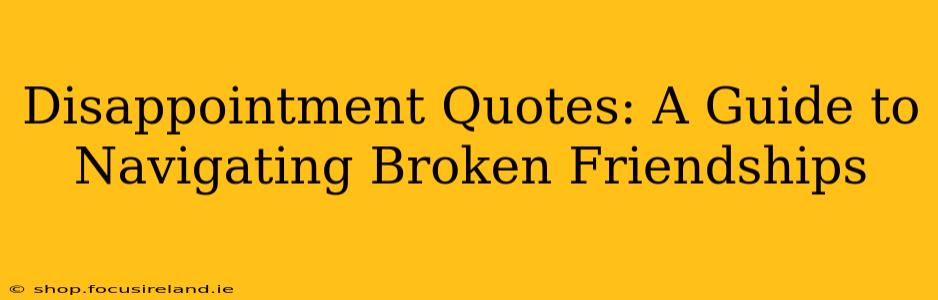 Disappointment Quotes: A Guide to Navigating Broken Friendships