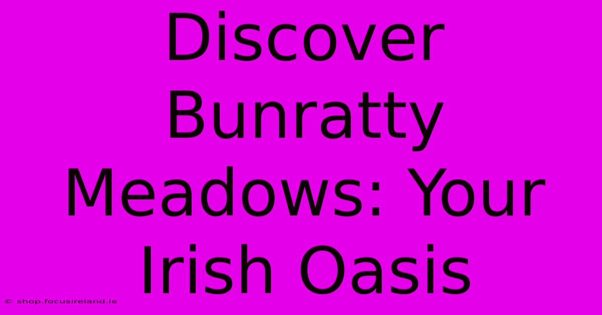 Discover Bunratty Meadows: Your Irish Oasis