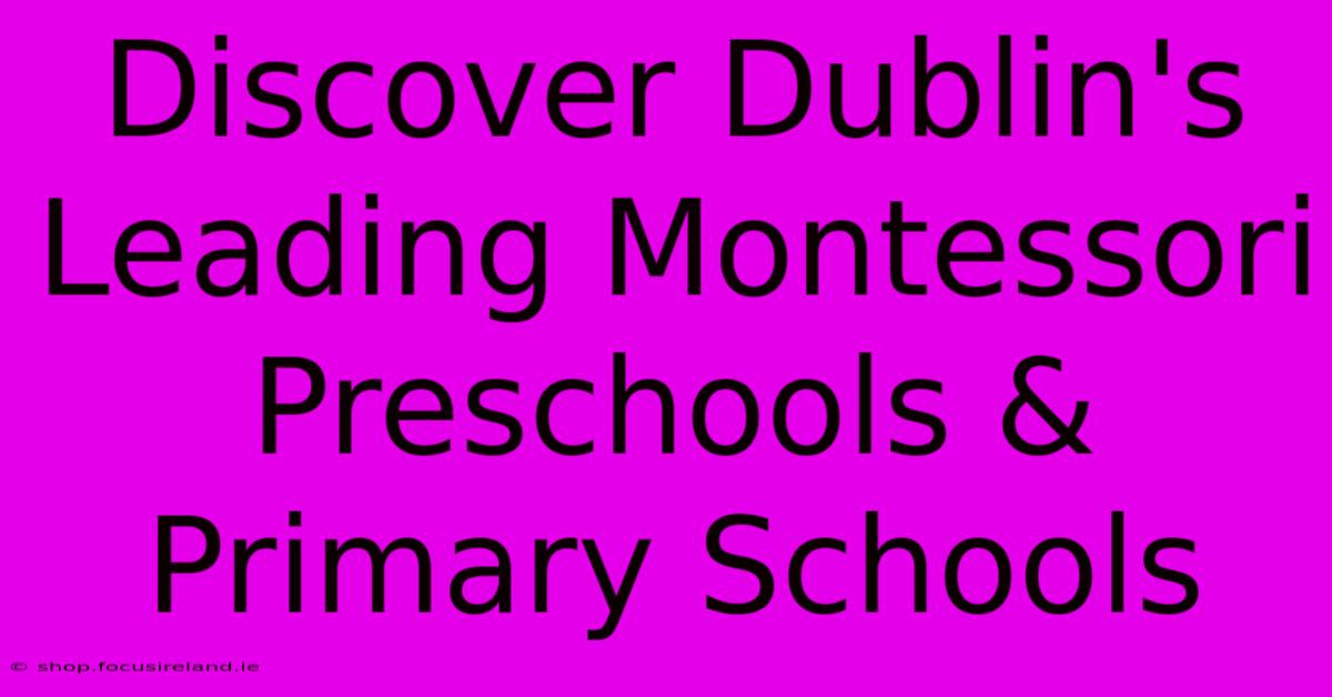 Discover Dublin's Leading Montessori Preschools & Primary Schools