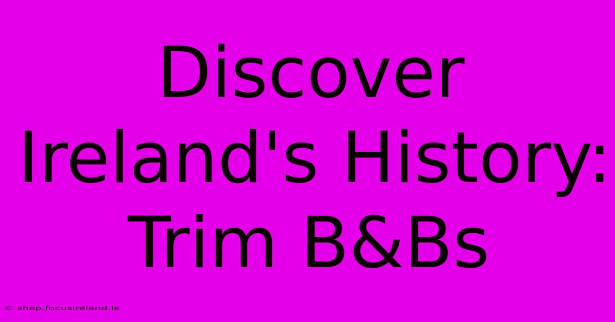 Discover Ireland's History: Trim B&Bs