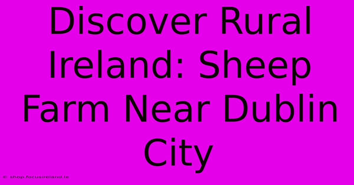 Discover Rural Ireland: Sheep Farm Near Dublin City