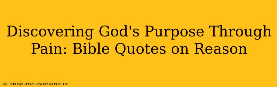 Discovering God's Purpose Through Pain: Bible Quotes on Reason