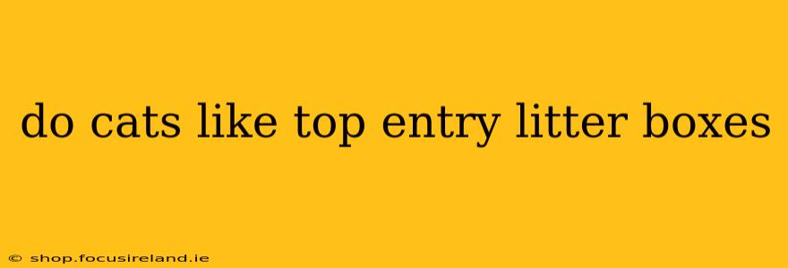 do cats like top entry litter boxes