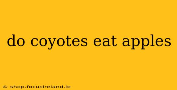 do coyotes eat apples