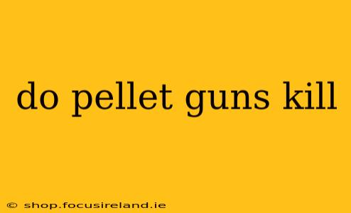 do pellet guns kill