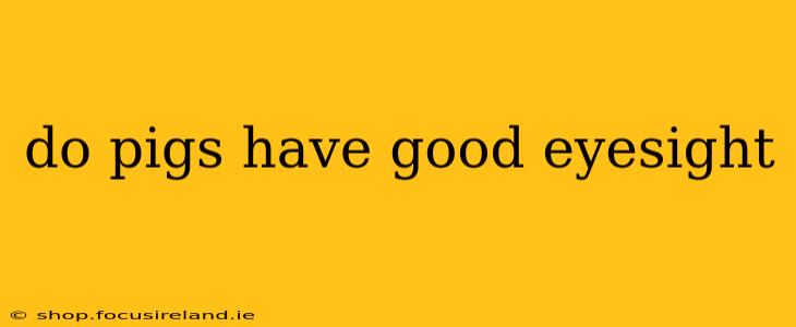 do pigs have good eyesight