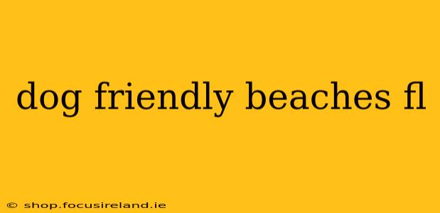 dog friendly beaches fl