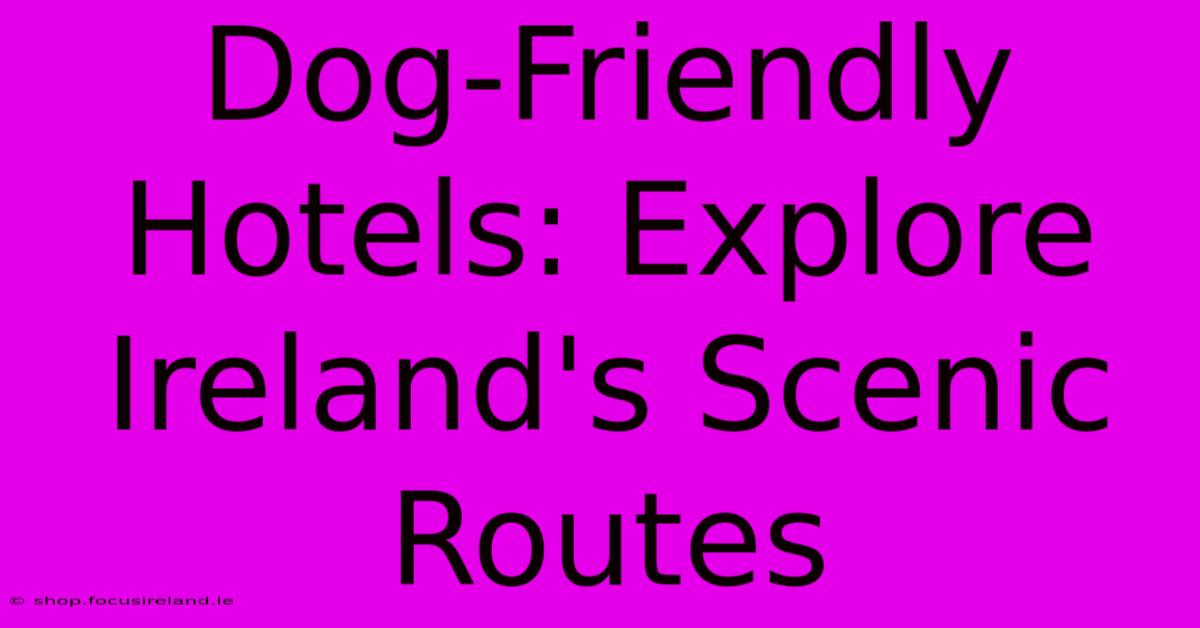 Dog-Friendly Hotels: Explore Ireland's Scenic Routes