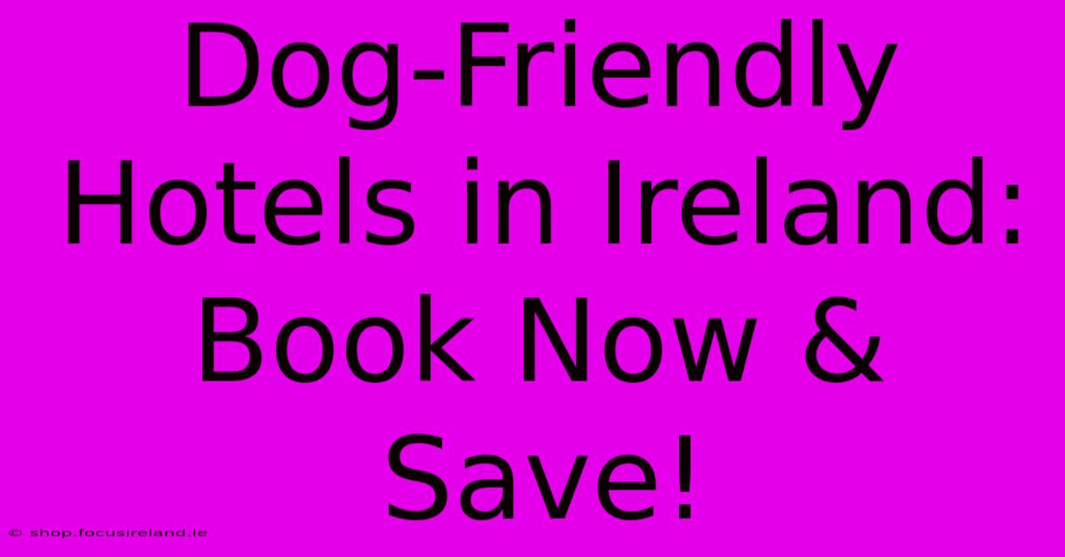 Dog-Friendly Hotels In Ireland: Book Now & Save!