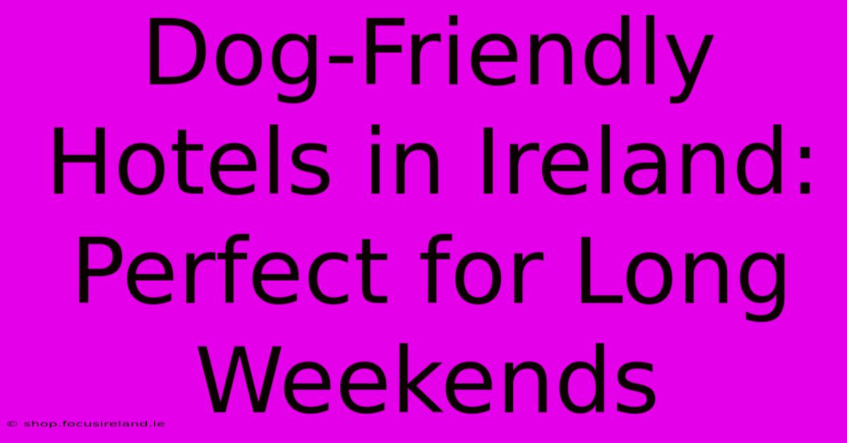 Dog-Friendly Hotels In Ireland: Perfect For Long Weekends