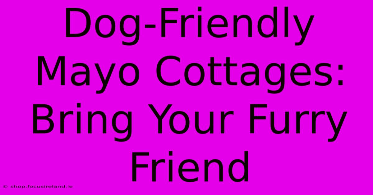 Dog-Friendly Mayo Cottages: Bring Your Furry Friend