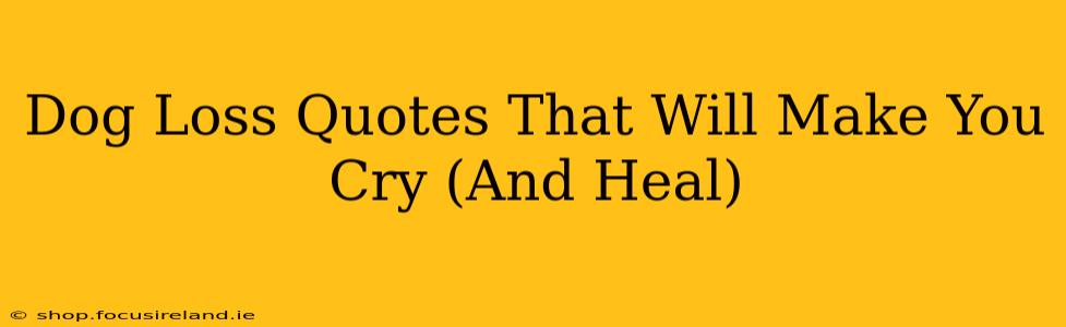 Dog Loss Quotes That Will Make You Cry (And Heal)