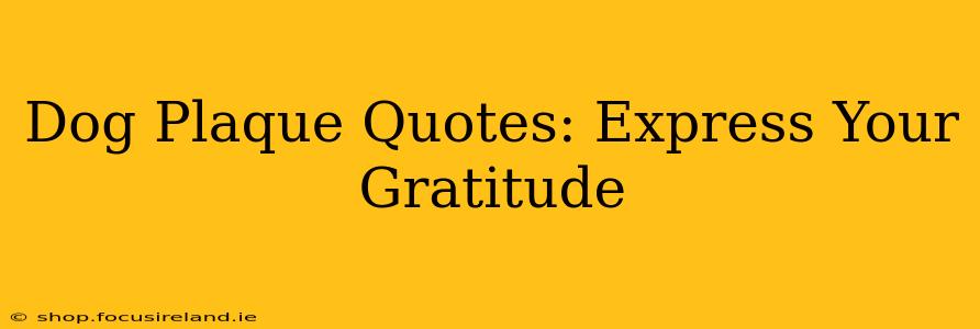 Dog Plaque Quotes: Express Your Gratitude