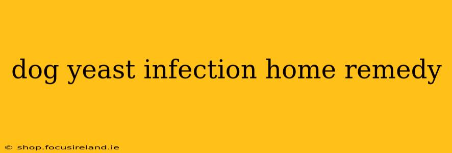 dog yeast infection home remedy