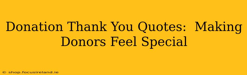 Donation Thank You Quotes:  Making Donors Feel Special