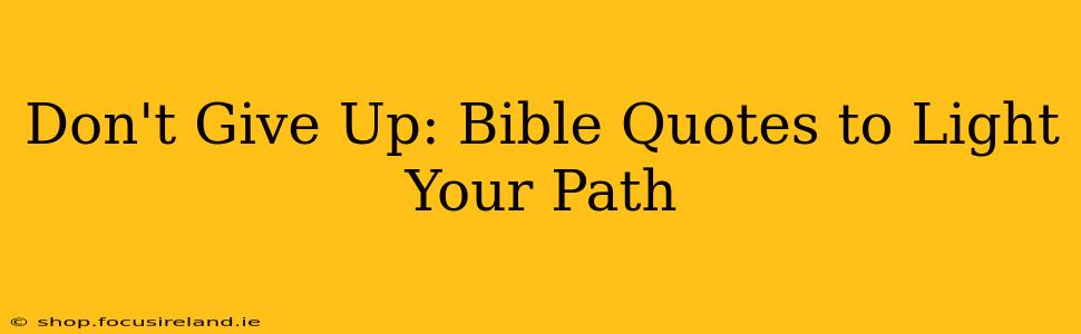 Don't Give Up: Bible Quotes to Light Your Path