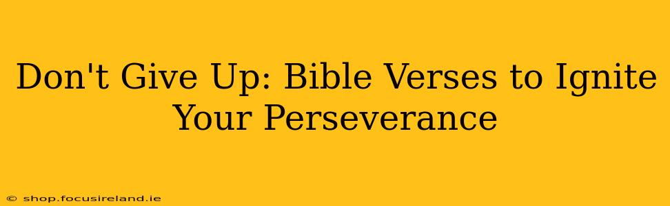 Don't Give Up: Bible Verses to Ignite Your Perseverance