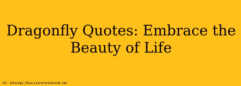 Dragonfly Quotes: Embrace the Beauty of Life