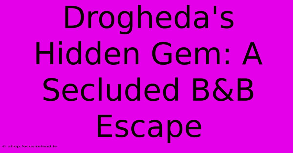 Drogheda's Hidden Gem: A Secluded B&B Escape