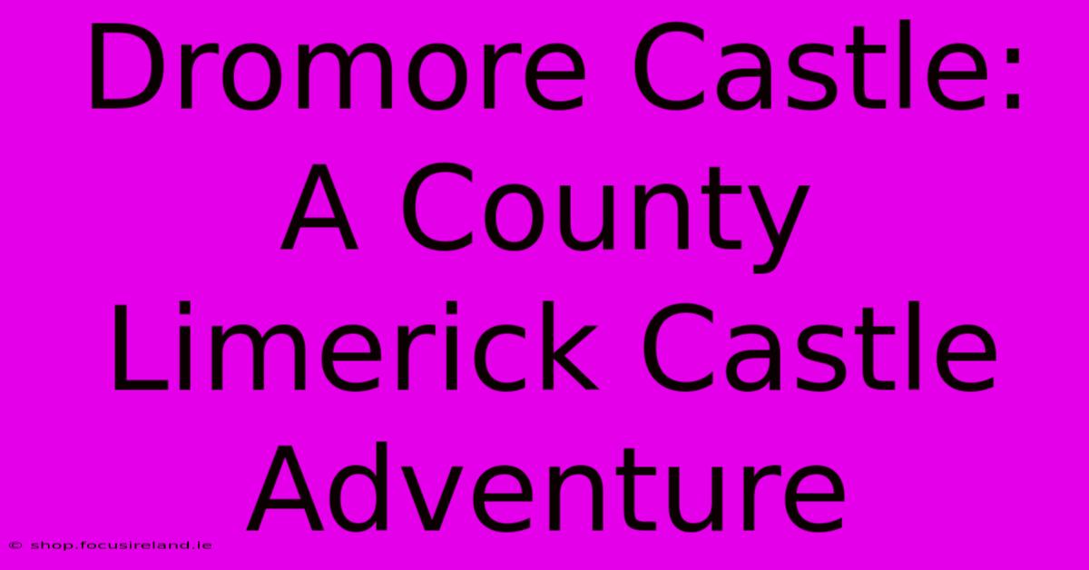 Dromore Castle: A County Limerick Castle Adventure