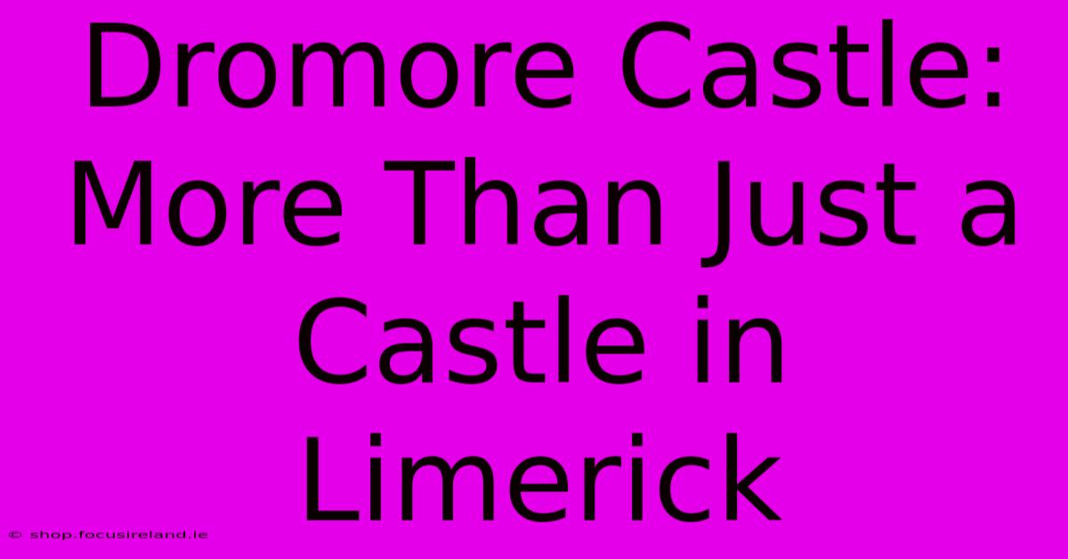 Dromore Castle: More Than Just A Castle In Limerick