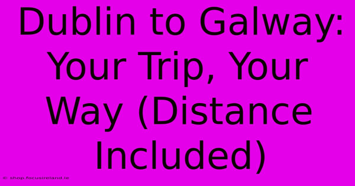 Dublin To Galway:  Your Trip, Your Way (Distance Included)