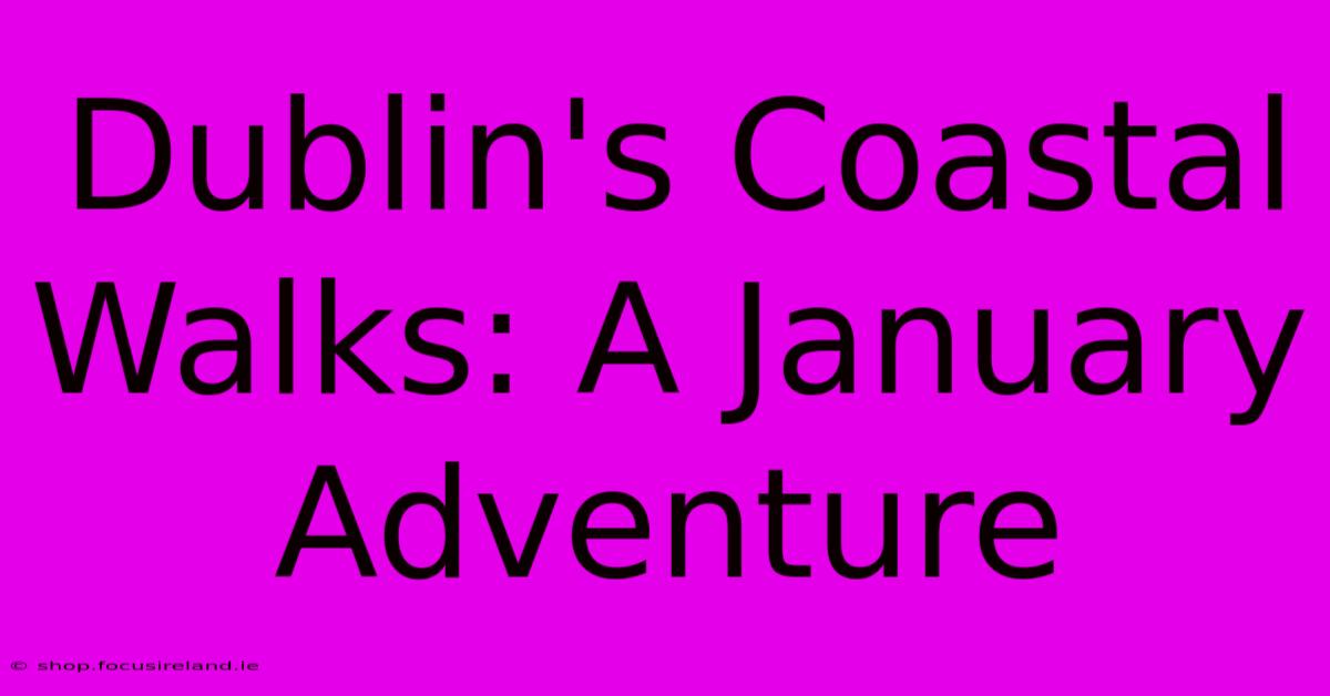 Dublin's Coastal Walks: A January Adventure