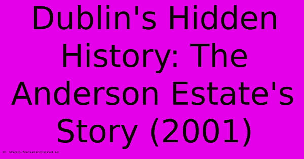 Dublin's Hidden History: The Anderson Estate's Story (2001)