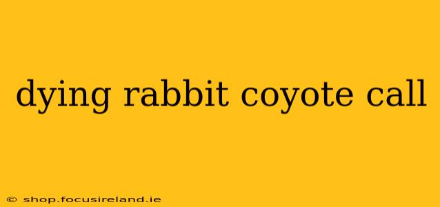 dying rabbit coyote call