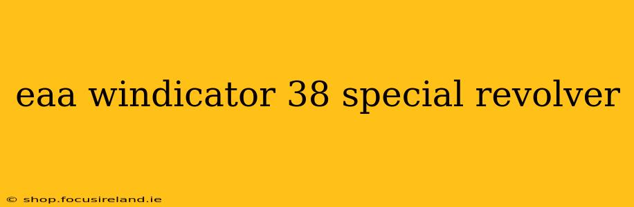 eaa windicator 38 special revolver