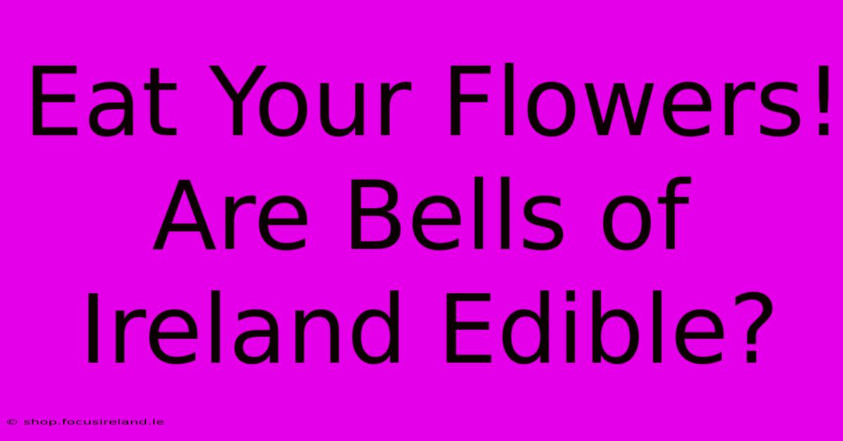 Eat Your Flowers! Are Bells Of Ireland Edible?