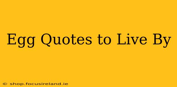 Egg Quotes to Live By