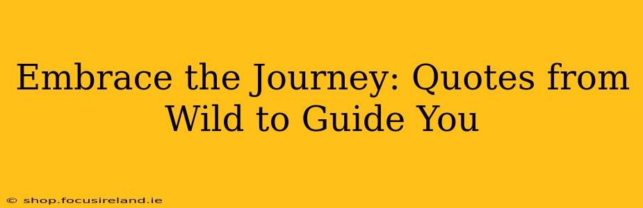 Embrace the Journey: Quotes from Wild to Guide You