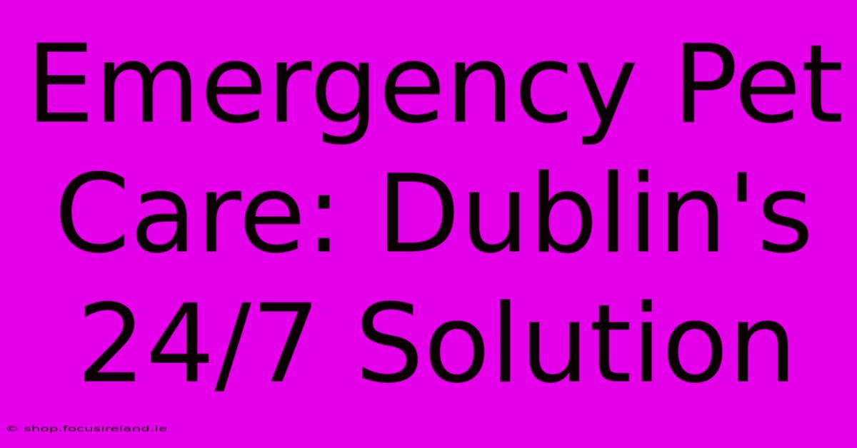 Emergency Pet Care: Dublin's 24/7 Solution