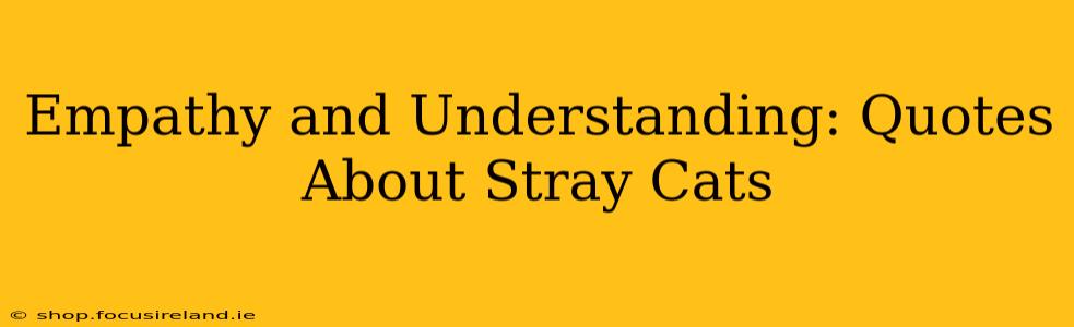 Empathy and Understanding: Quotes About Stray Cats