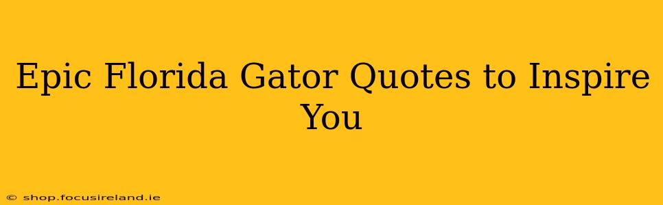 Epic Florida Gator Quotes to Inspire You