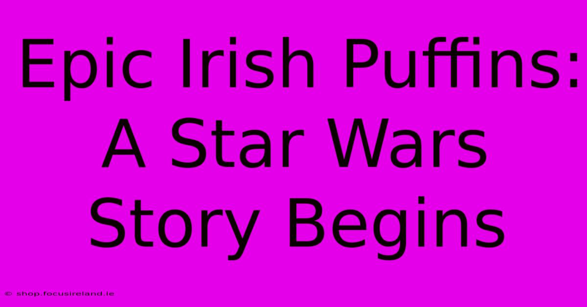 Epic Irish Puffins: A Star Wars Story Begins