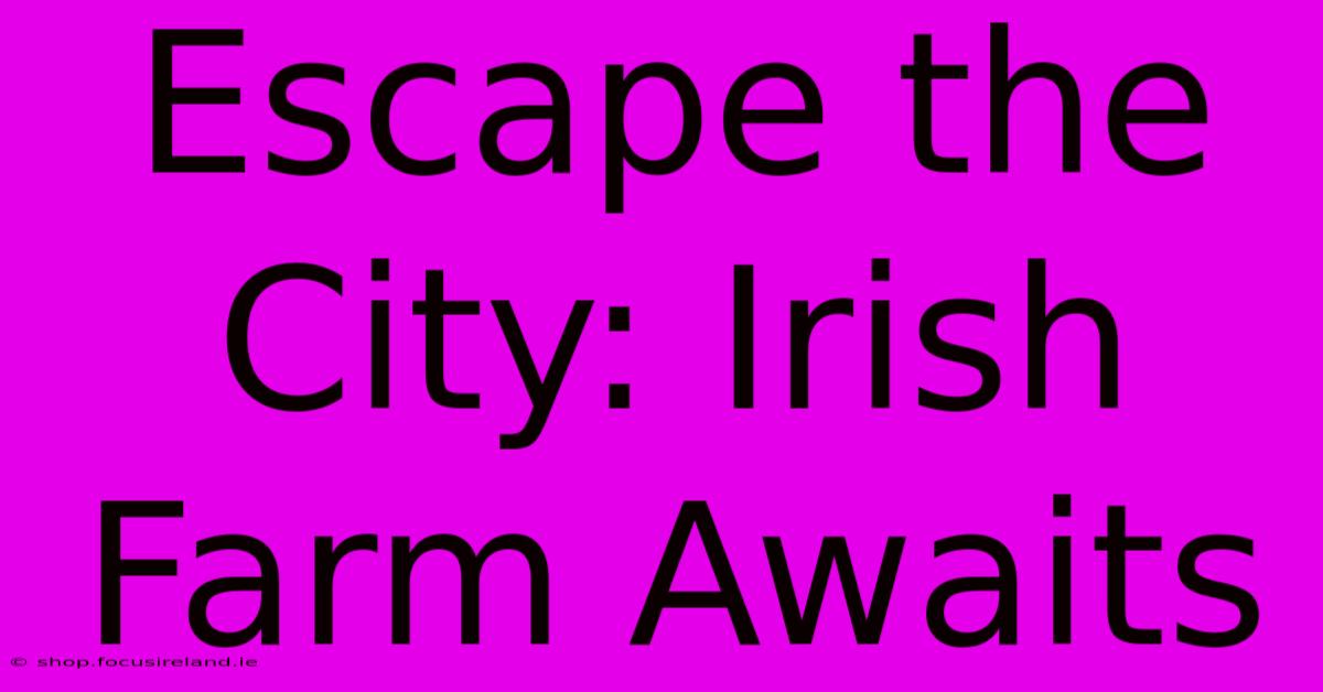 Escape The City: Irish Farm Awaits