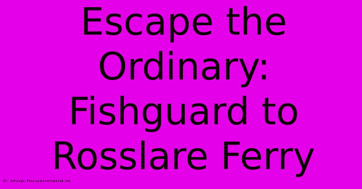 Escape The Ordinary: Fishguard To Rosslare Ferry