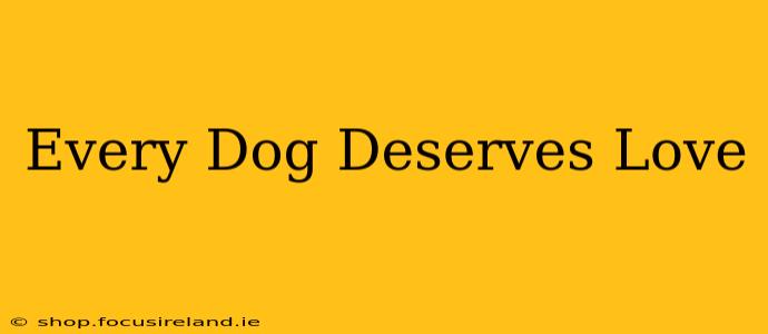 Every Dog Deserves Love