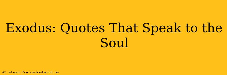 Exodus: Quotes That Speak to the Soul