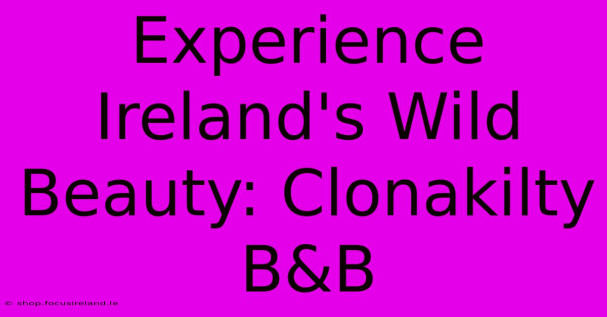 Experience Ireland's Wild Beauty: Clonakilty B&B