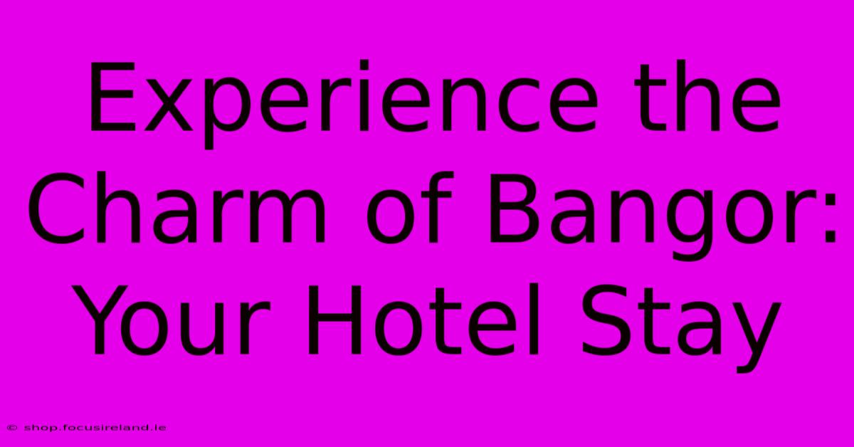 Experience The Charm Of Bangor: Your Hotel Stay