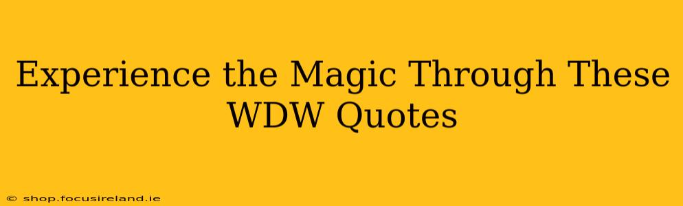 Experience the Magic Through These WDW Quotes