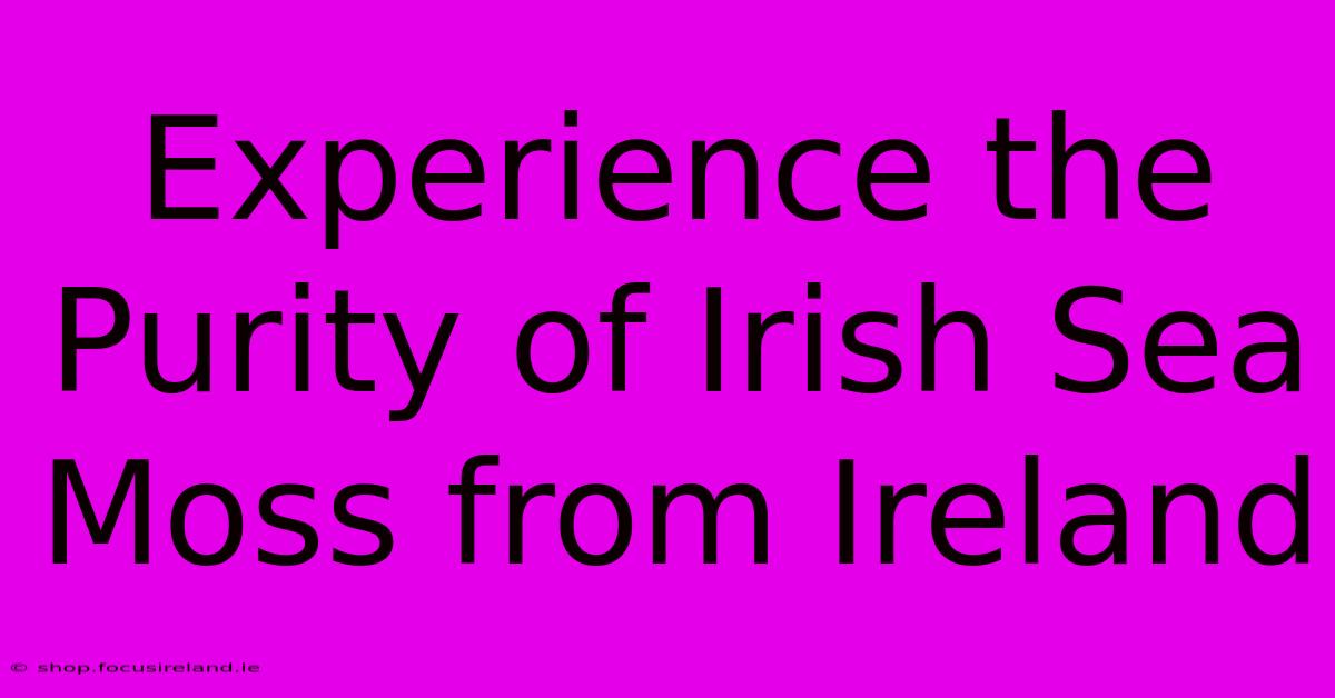 Experience The Purity Of Irish Sea Moss From Ireland