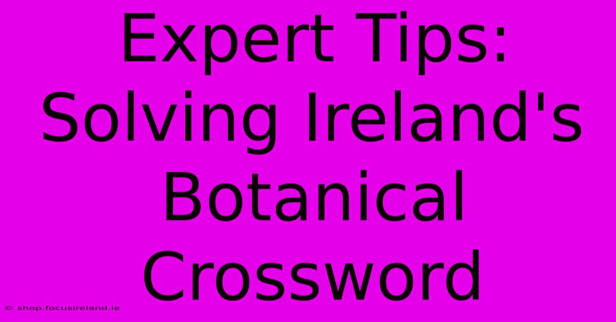 Expert Tips: Solving Ireland's Botanical Crossword