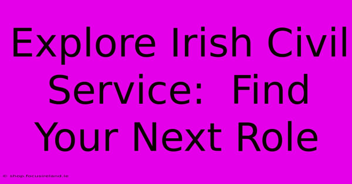 Explore Irish Civil Service:  Find Your Next Role