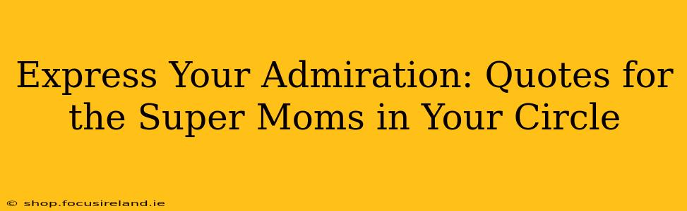 Express Your Admiration: Quotes for the Super Moms in Your Circle