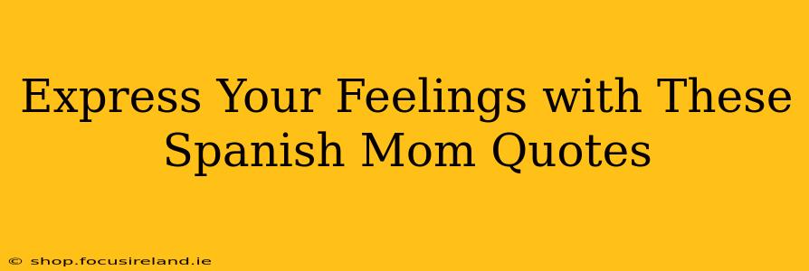 Express Your Feelings with These Spanish Mom Quotes